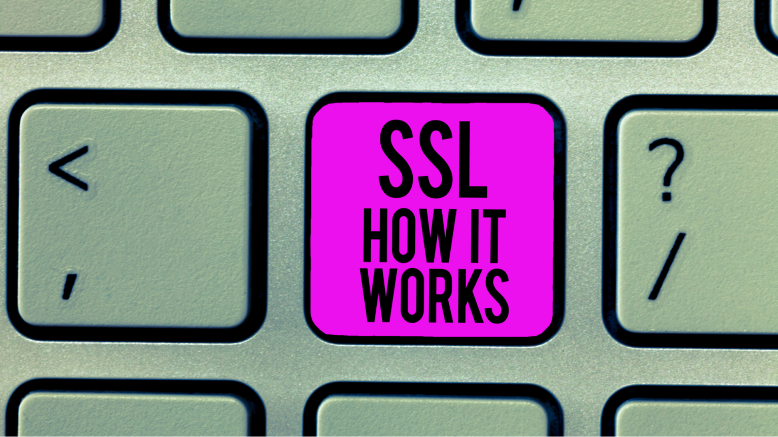 Ssl Rnak 10 ciekawostek o certyfikatach SSL, których nie wiedziałeś - Zenbox