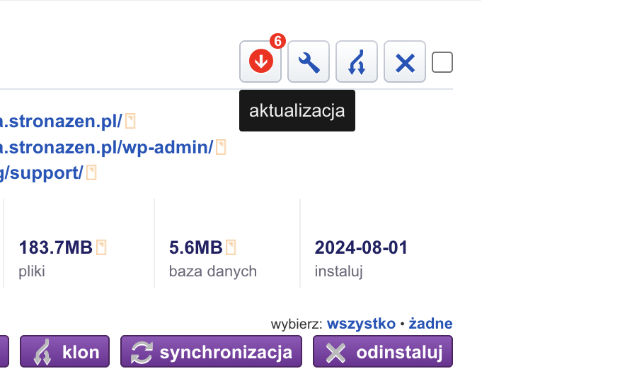 Zrzut ekranu z ustawieniami WordPressa.